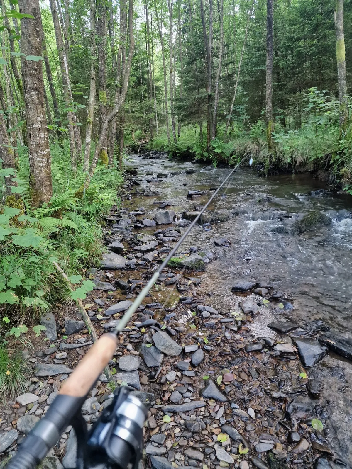 Vissen in de Ardennen