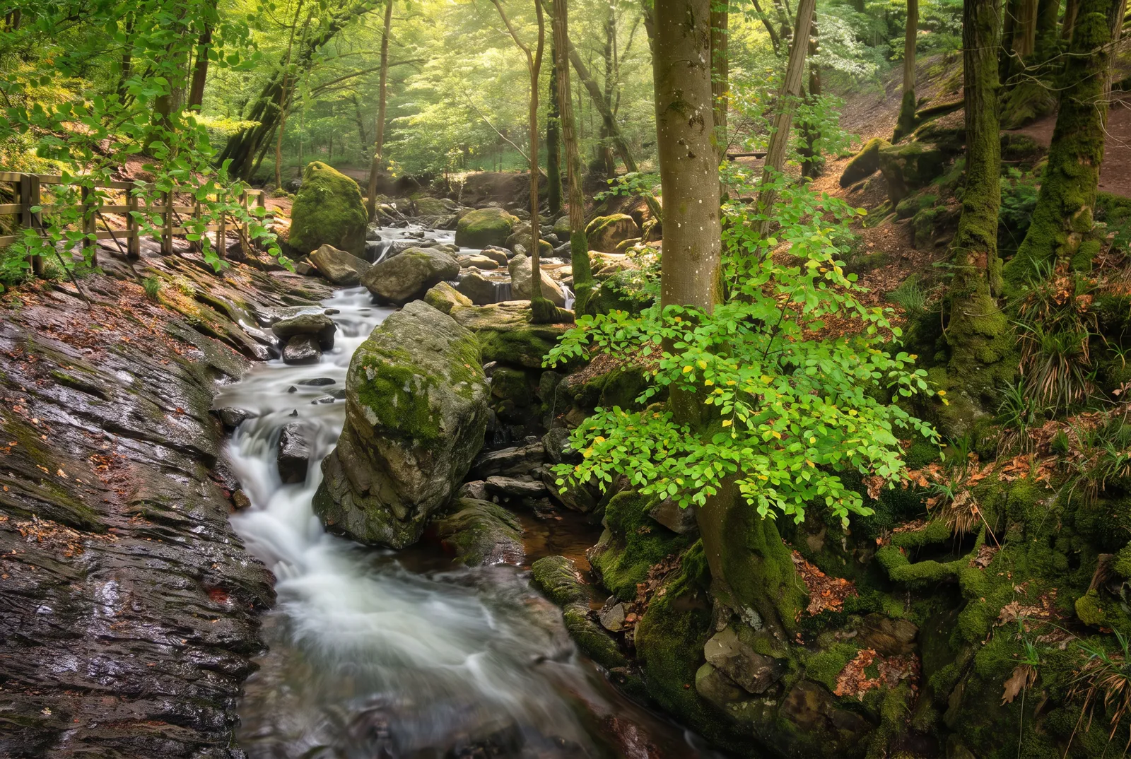Watervalletjes van de Ninglinspo tussen mosgroene rotsen en bos